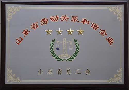 山東省勞動關(guān)系和諧企業(yè)